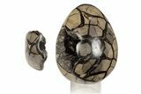 7.8" Septarian "Dragon Egg" Geode - Removable Section - #199995-1